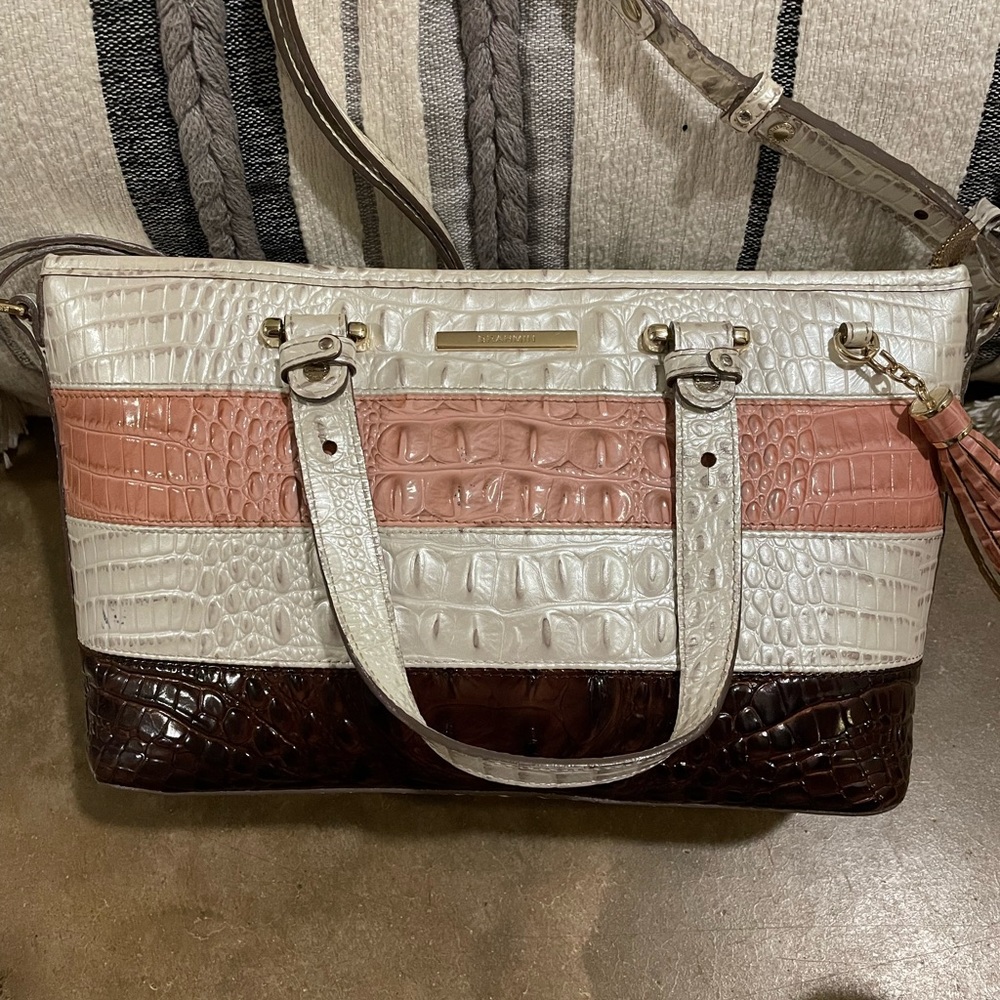 Brahmin mini Asher RARE